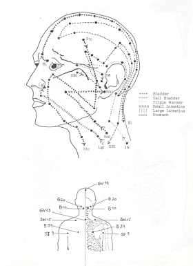 Kramer acupuncture diagram