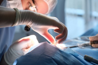 Why Biological Dentistry Encourages Careful Evaluation of Root Canals