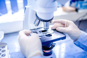 Phase Contrast Microscopy
